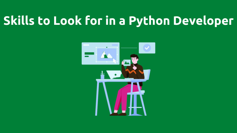 Skills to Look for in a Python Developer