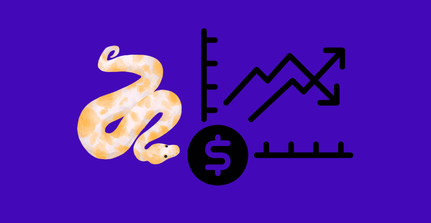 What value does a Python Developer bring to your business
