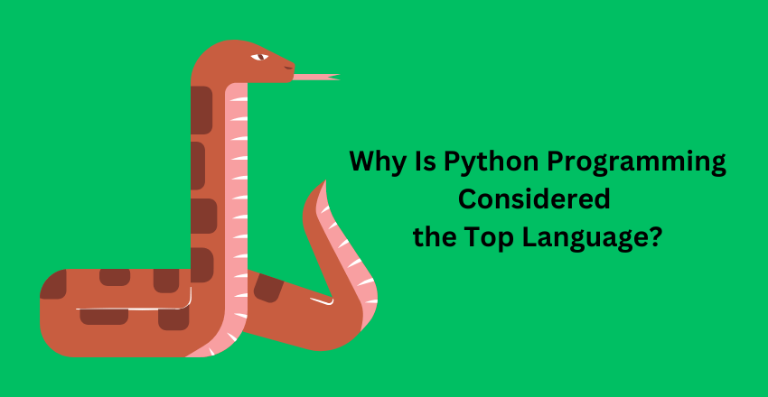 Why Is Python Programming Considered the Top Language?