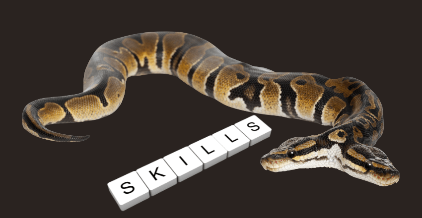 What are the Advanced Python Skills Some Developers Have?
