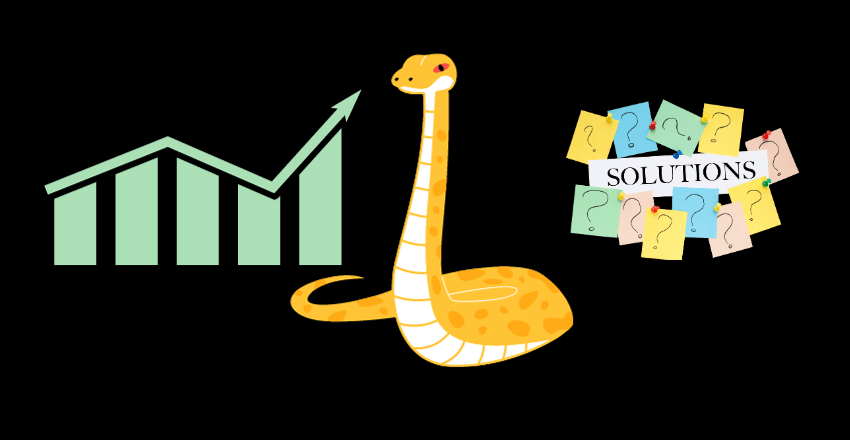 On-Demand Python Solutions for You