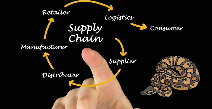 Streamlined Supply Chain: Python Supply Chain Solutions