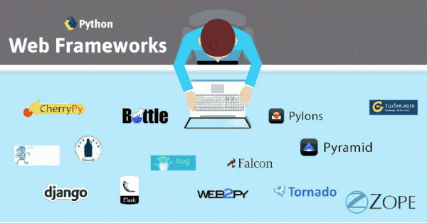 Hire A Python Web Developer